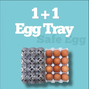 계란트레이 1+1 보관용기 달걀트레이 에그트레이 달걀통 계란보관함 기관 단체 관공서 판촉물